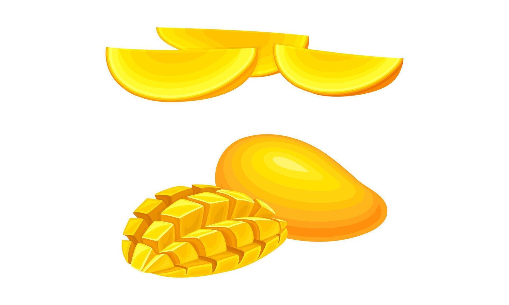 Ripe juicy mango set. Whole and sliced of sweet organic exotic fruit illustration vector