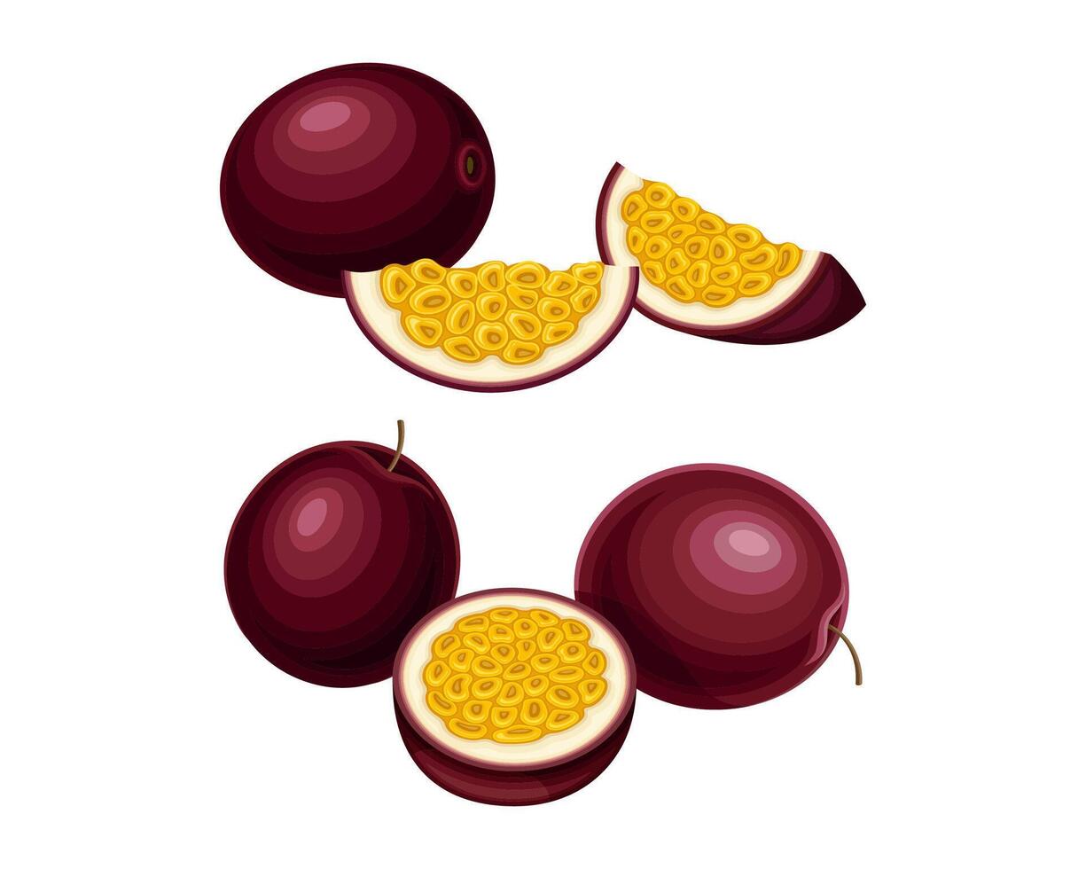 Ripe tropical passion fruit set. Sweet exotic maracuya fruit illustration vector