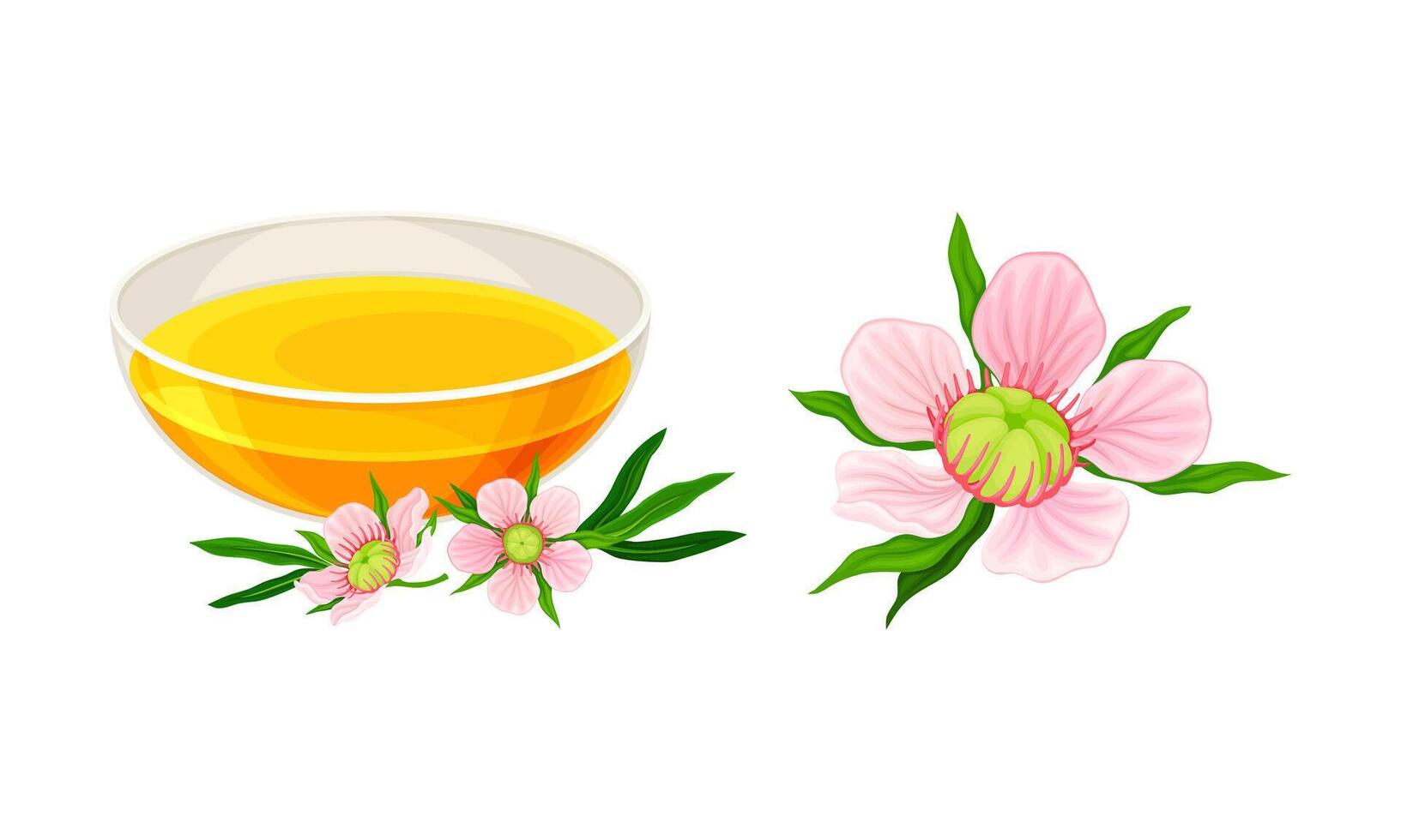 Manuka flowers and beneficial honey in glass cup illustration vector