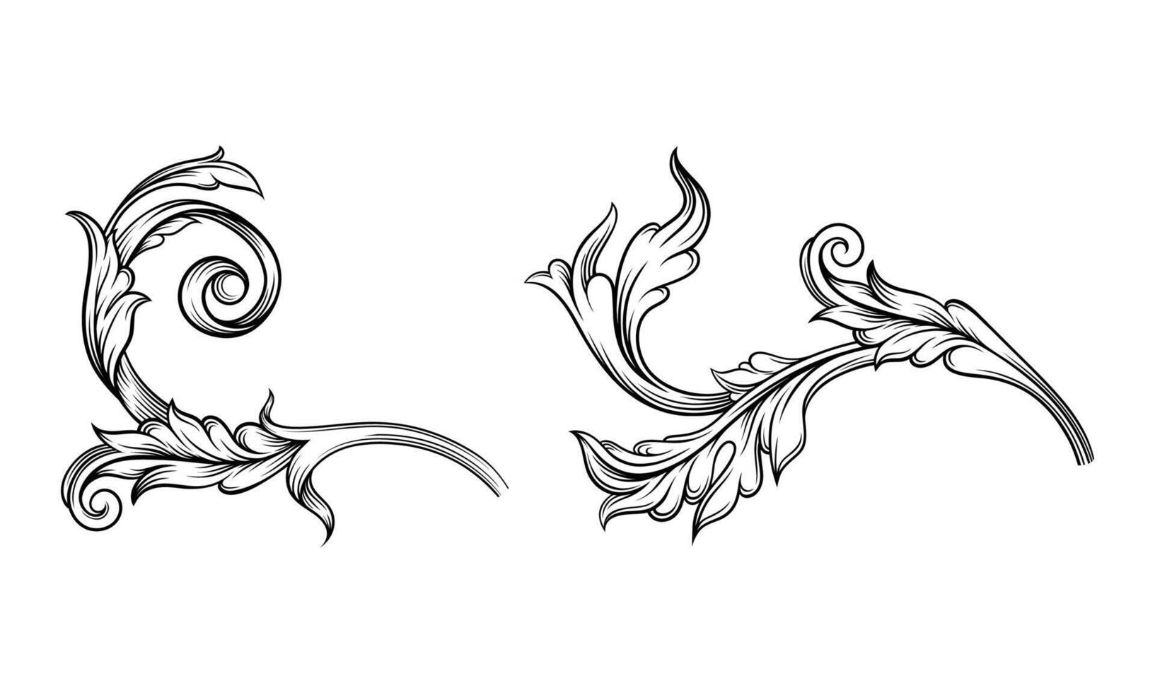 Highly detailed hand drawn leaves. Monochrome floral decor element illustration vector