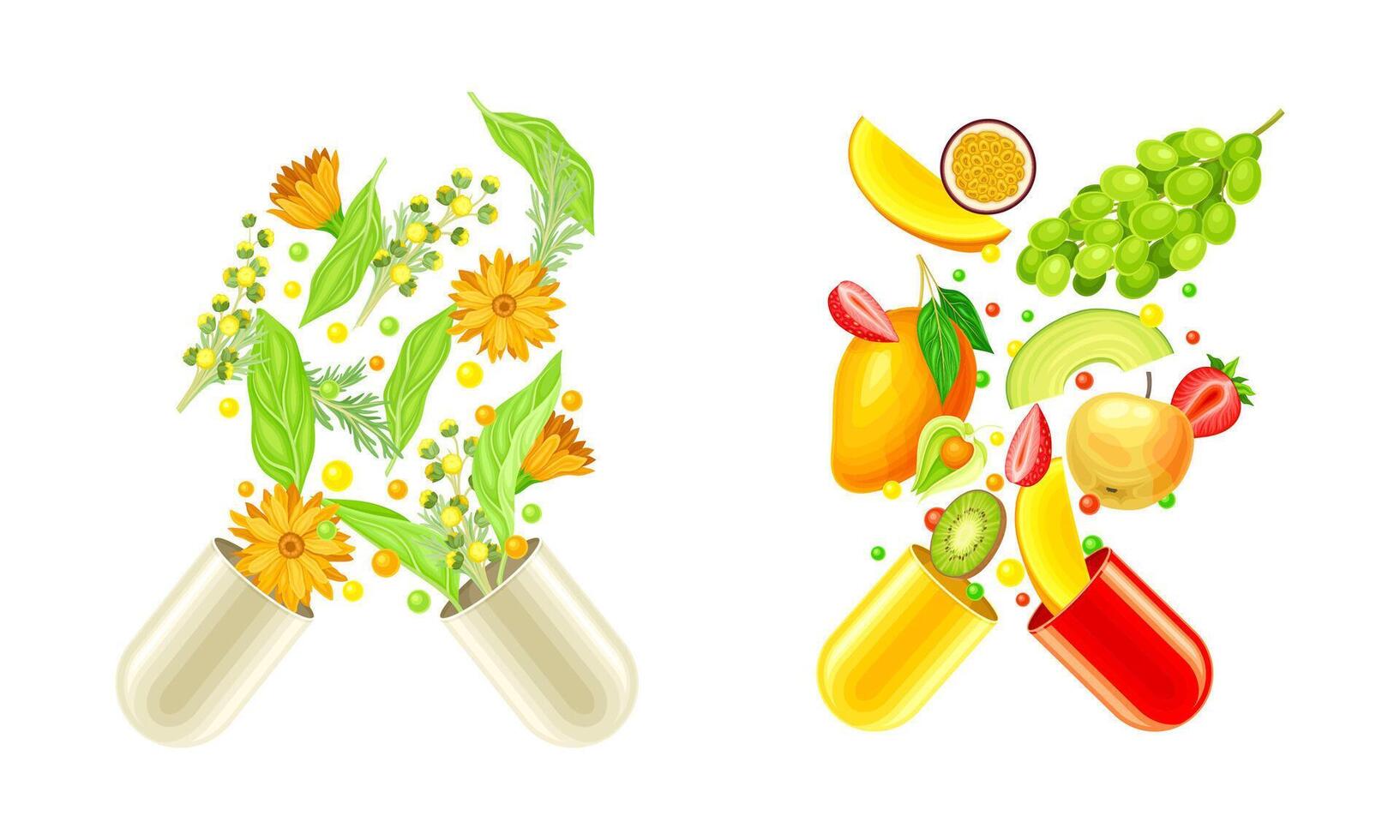 Vitamins and supplements. Open capsules with fruit, herbs and berries splashes illustration vector