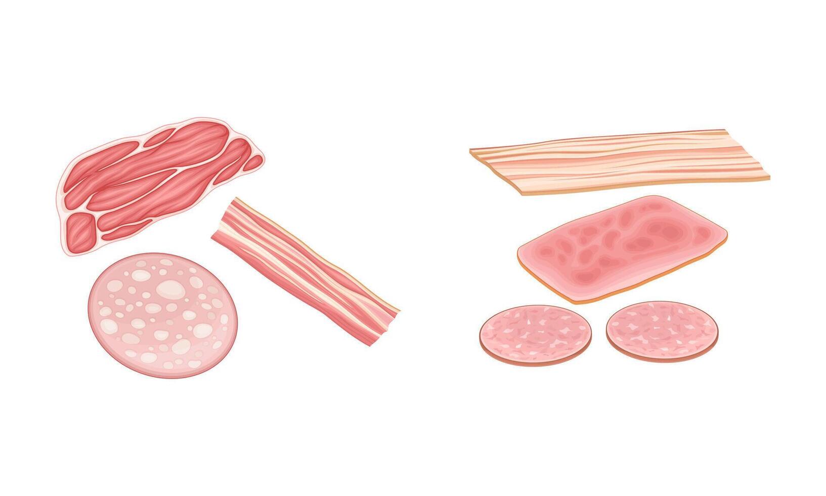 Ingredients for sandwich cooking. Bacon, sausages, ham, prosciutto slices illustration vector