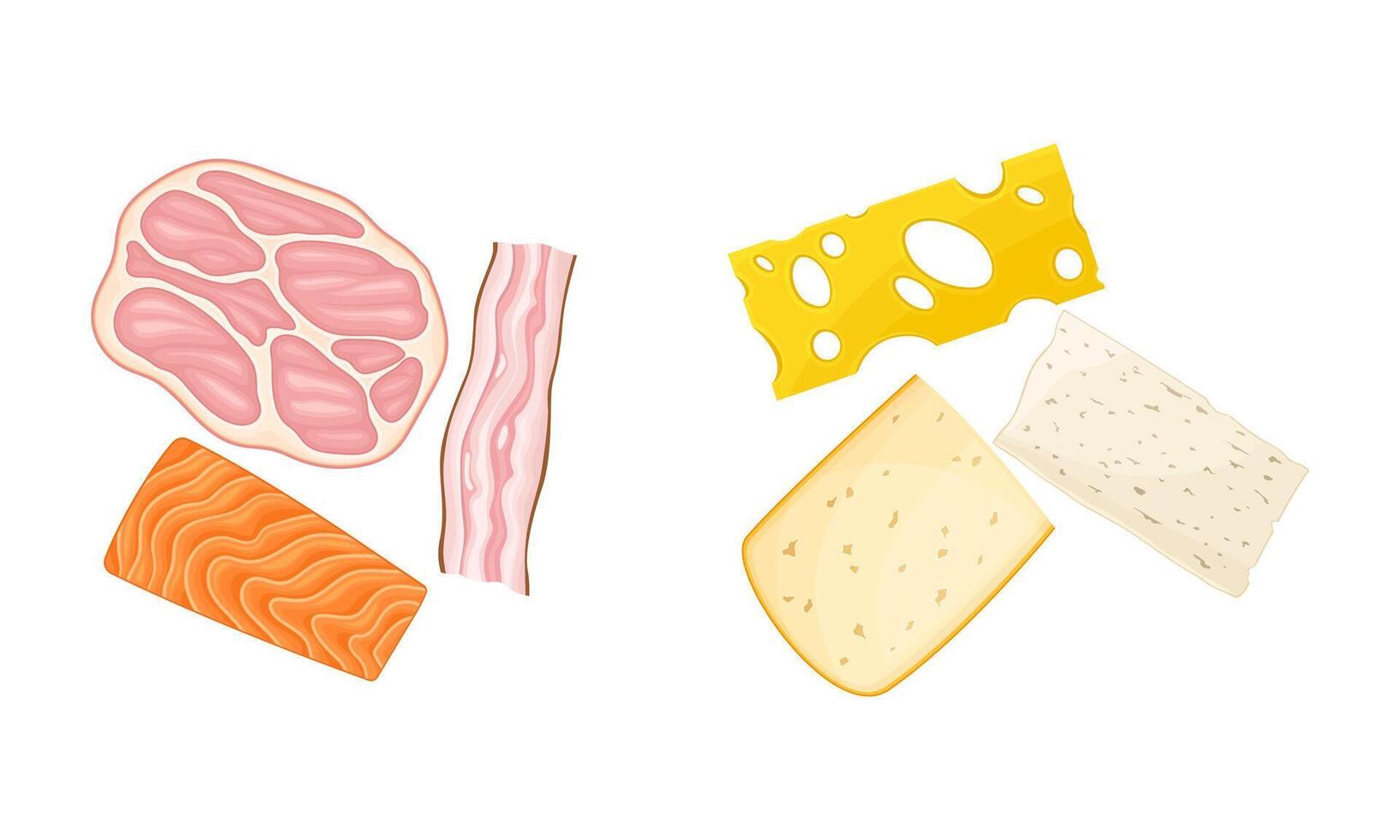 Ingredients for sandwich cooking. Bacon, ham, salmon fish and bread slices illustratio vector