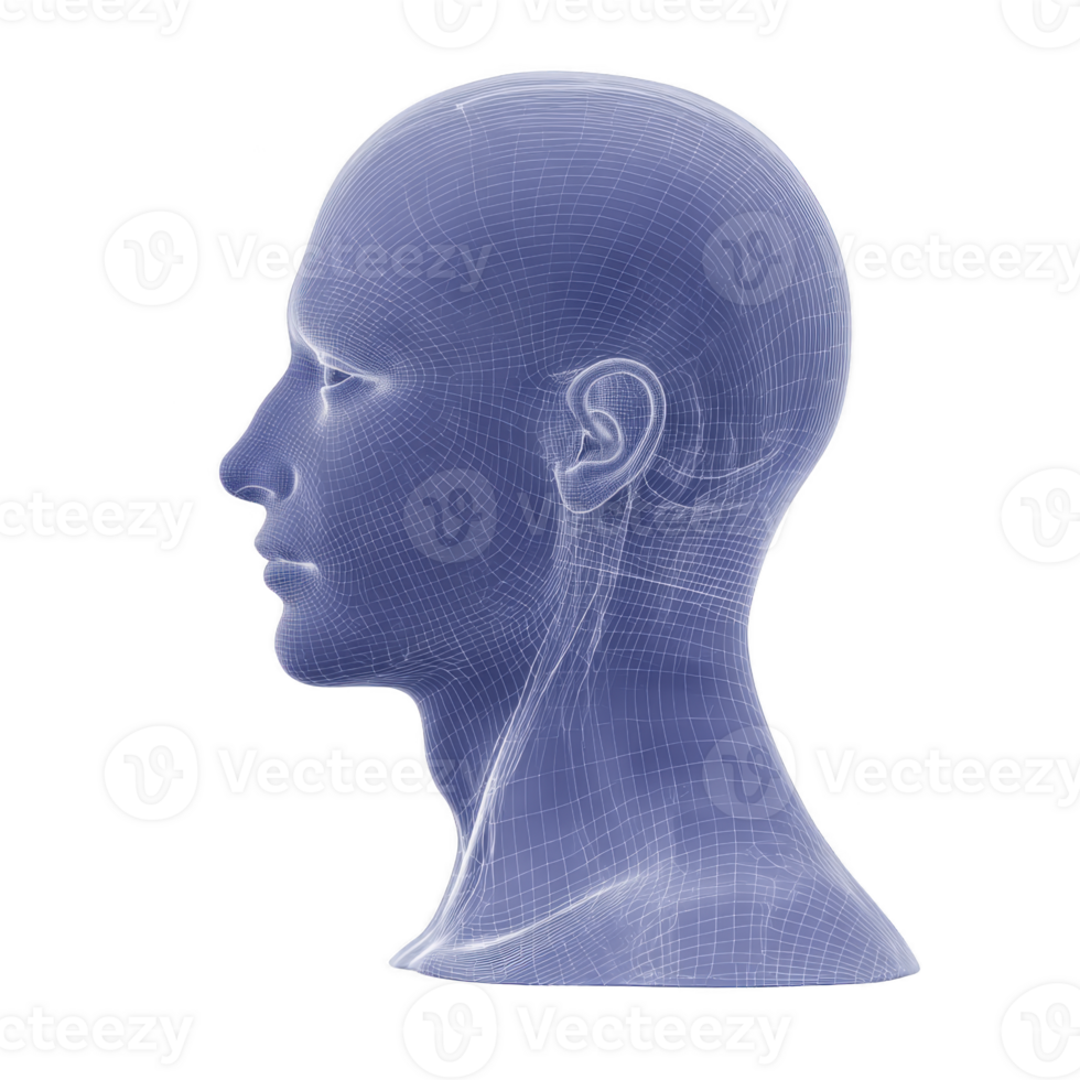 Digital wireframe illustration of human head in profile view, showcasing intricate details of facial features and neck structure. blue grid lines create futuristic and technical appearance png