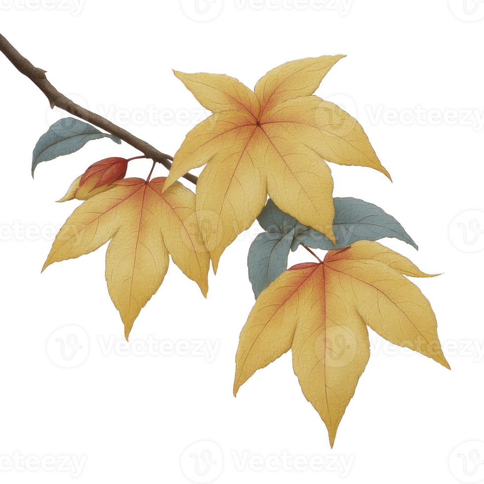 Golden autumn leaves with touch of red and blue hues on branch, showcasing beauty of fall foliage. delicate veins and vibrant colors create serene and natural scene png