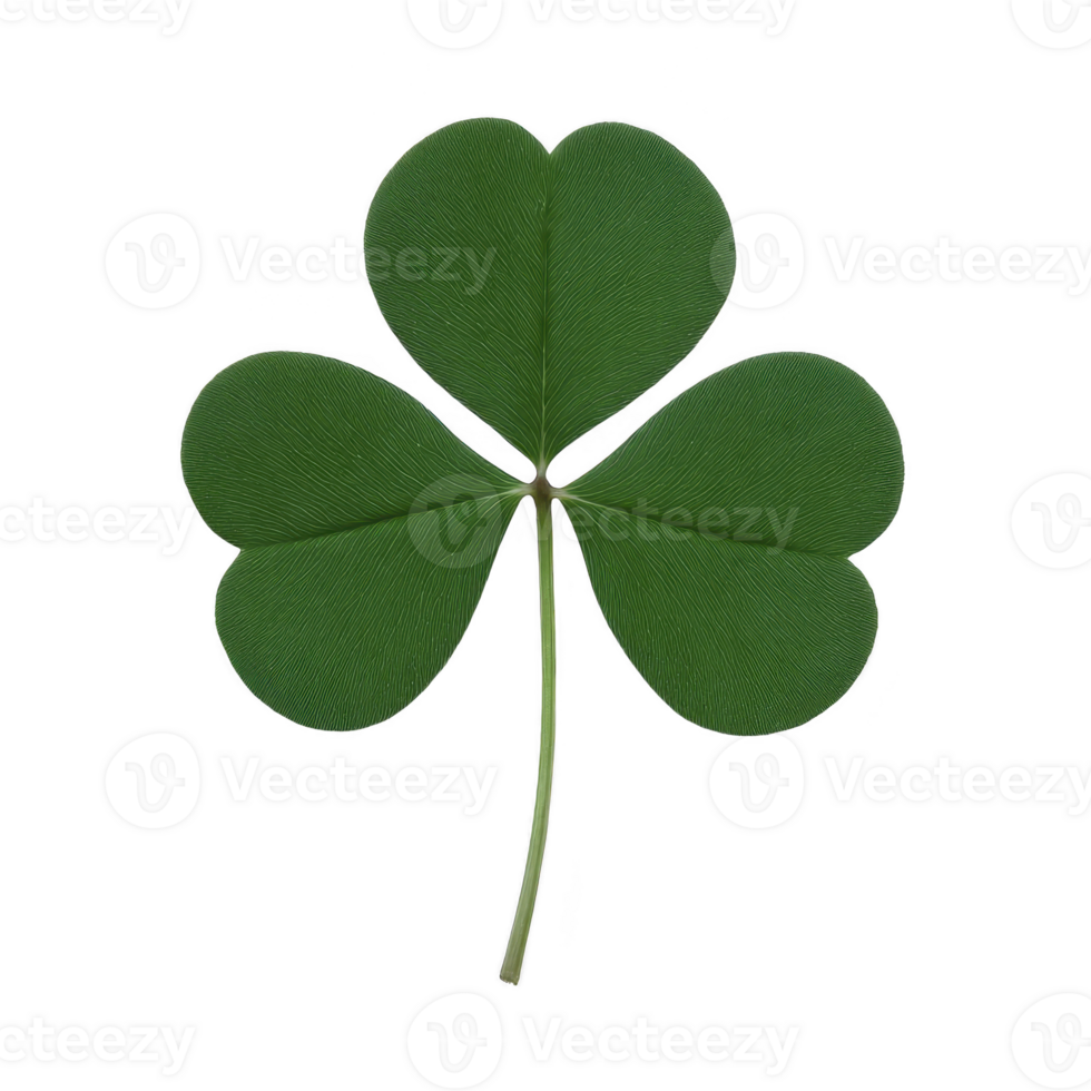 Vibrant green three leaf clover with smooth texture, symbolizing luck and nature. clover is isolated on transparency background, highlighting its simple beauty png