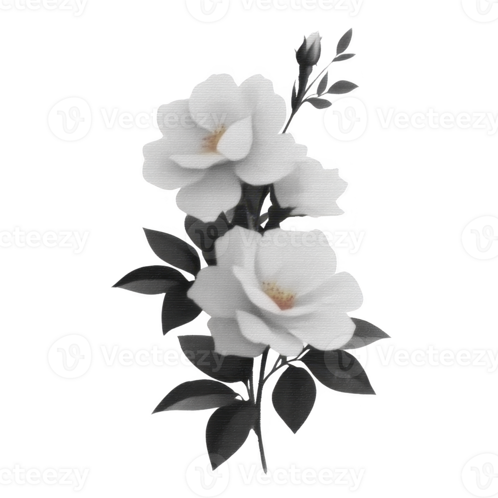 Delicate arrangement of white flowers with soft petals and dark green leaves, creating serene and elegant composition. contrast between flowers and leaves adds depth and beauty png