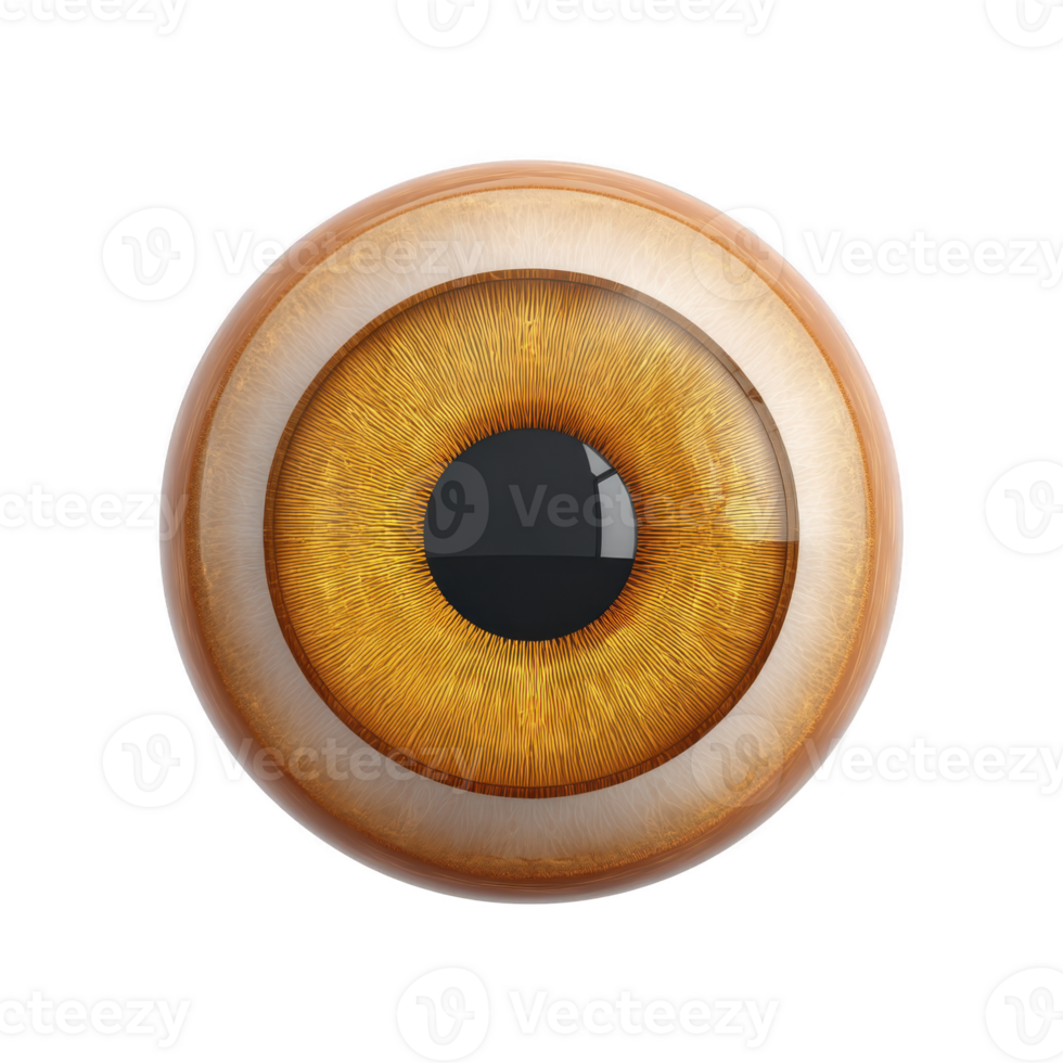 Detailed illustration of human eye with vibrant amber iris and realistic texture, showcasing intricate patterns and glossy finish. image highlights beauty and complexity of eye png