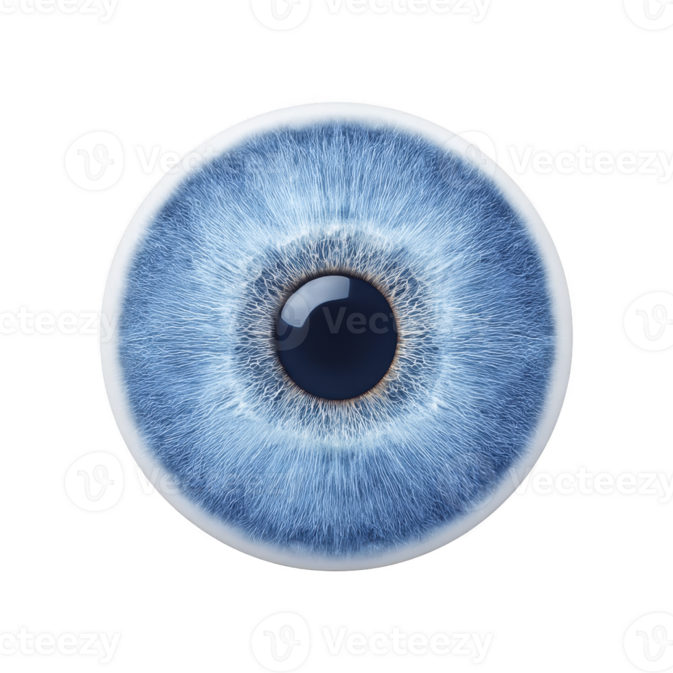 Detailed close up of blue human eye iris with intricate patterns and textures, showcasing unique radial lines and vibrant color. image highlights complexity and beauty of eye png