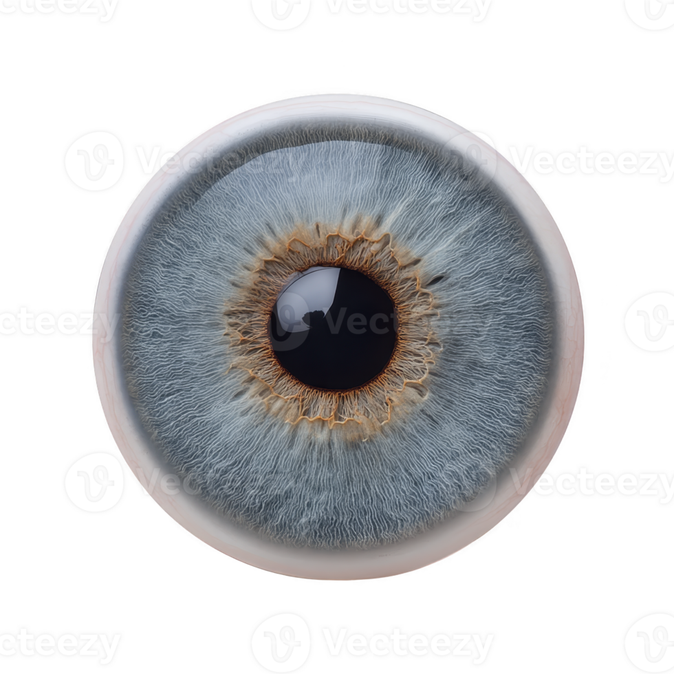 Detailed close up of human eye with blue iris and intricate patterns, showcasing beauty and complexity of eye structure png