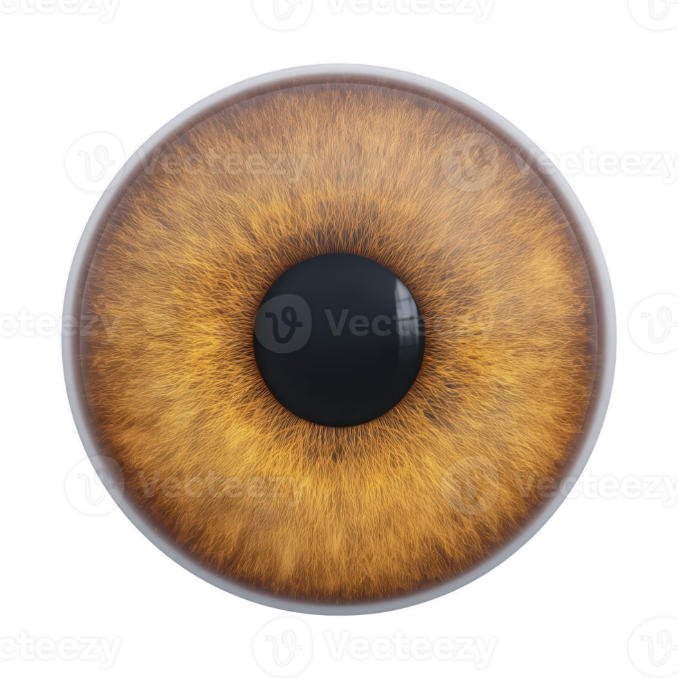 This is image of detailed, realistic brown eye with intricate patterns in iris. eye is centered and isolated on transparency background, highlighting its texture and color png