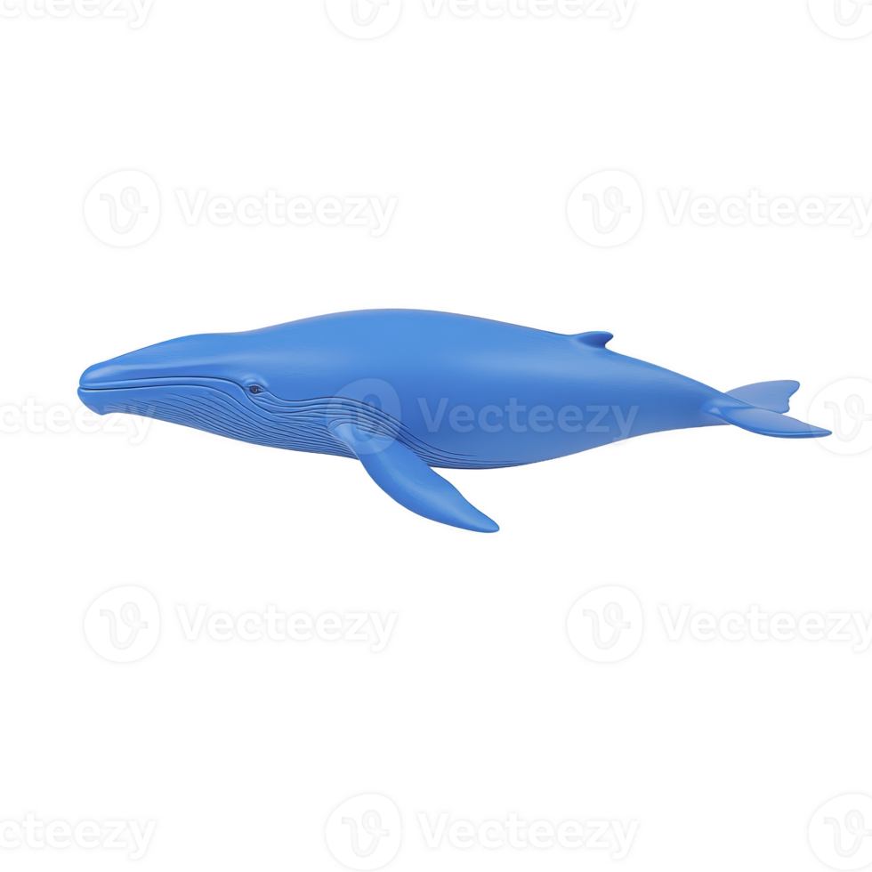 Blue whale illustration showcases majestic marine mammal in side view, highlighting its streamlined body and serene expression png