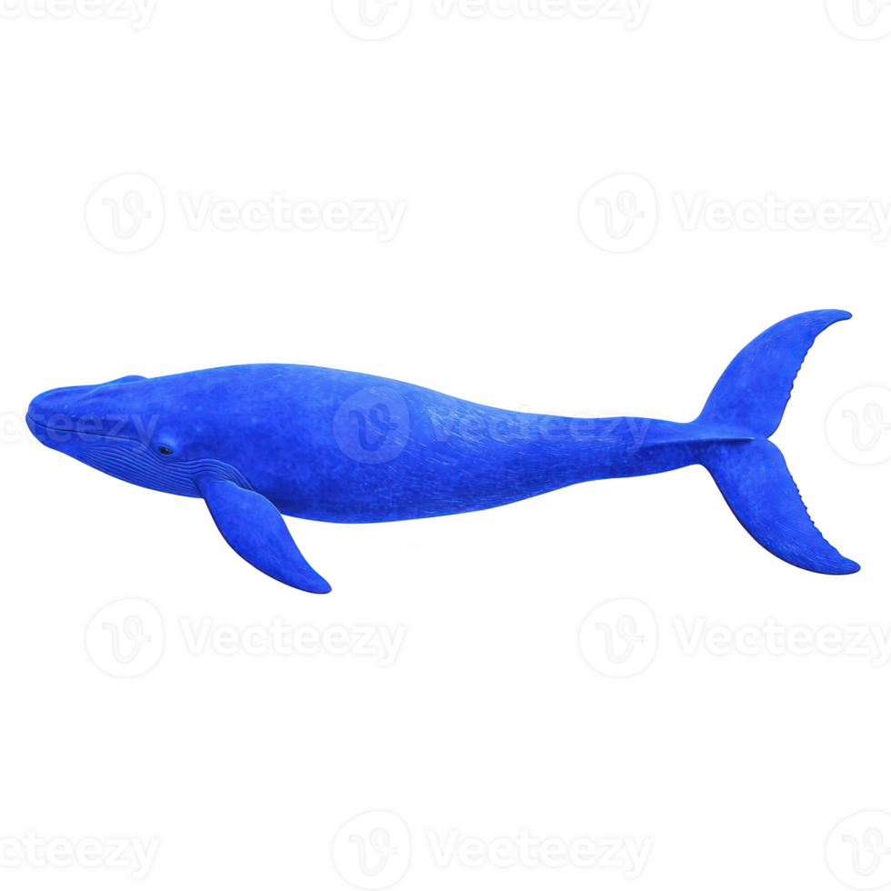 Majestic blue whale swimming gracefully ocean, showcasing its massive size and vibrant blue color against clear background. whale streamlined body and gentle expression evoke sense of wonder png