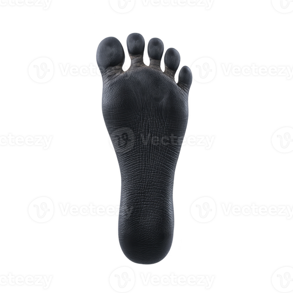 Detailed black footprint on transparency background showcases intricate patterns and textures, highlighting unique lines and curves of sole png