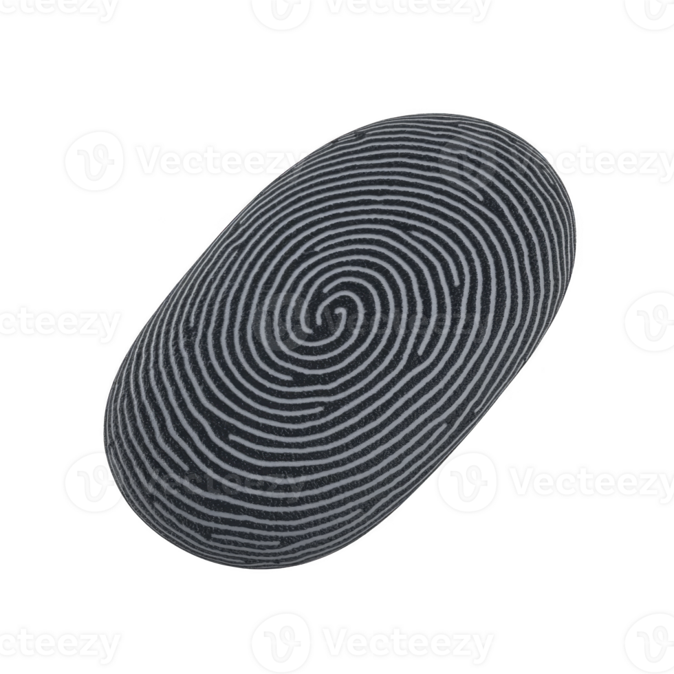 Detailed fingerprint pattern in grayscale, showcasing unique loops and whorls, symbolizing identity and security. intricate design highlights individuality of human fingerprints png