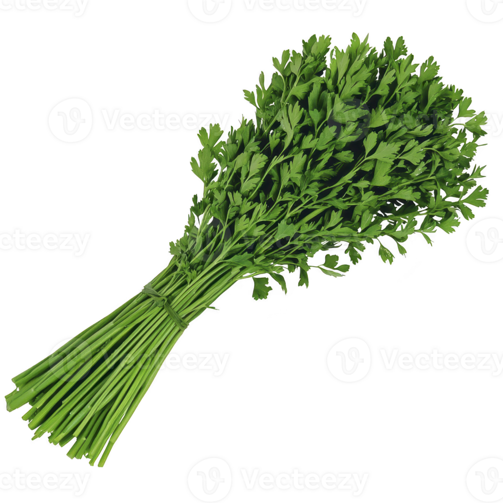 Fresh bundle of green parsley tied together, showcasing vibrant leaves and stems, perfect for culinary use or garnishing dishes. herb exudes fresh and aromatic appeal png