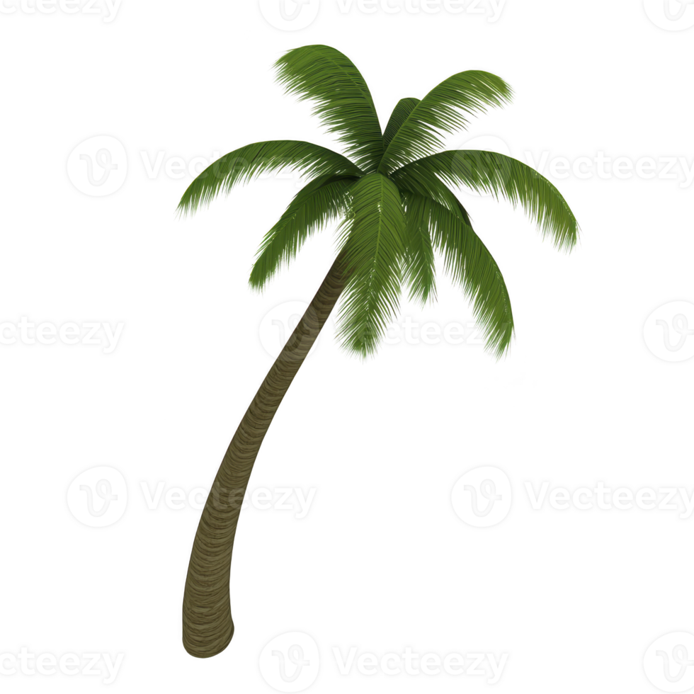 Tall, lush green palm tree with slightly curved trunk and vibrant fronds evokes tropical paradise. tree stands isolated against clear background, symbolizing relaxation png