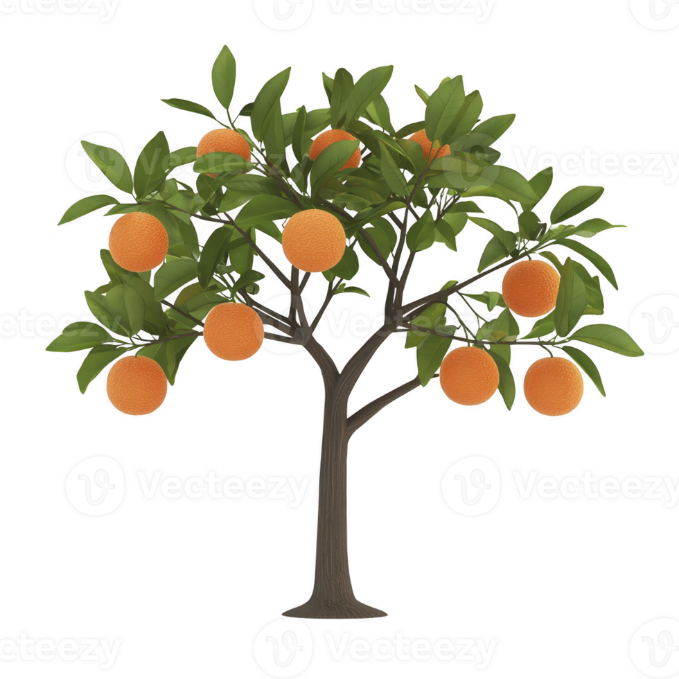 Vibrant orange tree with lush green leaves and ripe oranges hanging from its branches, symbolizing growth and abundance. tree stands against plain background, highlighting its natural beauty png