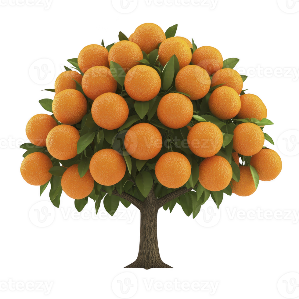Vibrant orange tree laden with ripe, juicy oranges and lush green leaves, symbolizing abundance and freshness. tree stands against plain background, highlighting its vivid colors png