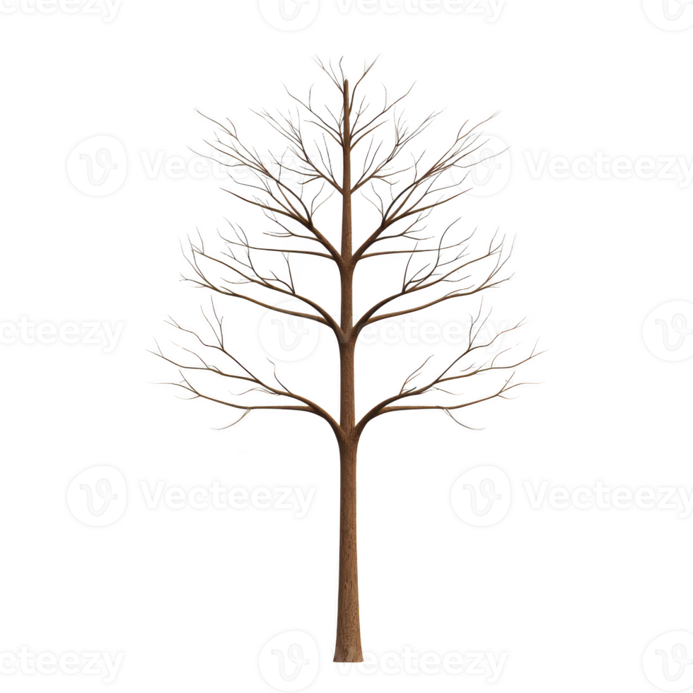 Leafless tree with intricate branches stands against transparent background, showcasing its detailed structure. bare branches create stark, artistic silhouette png