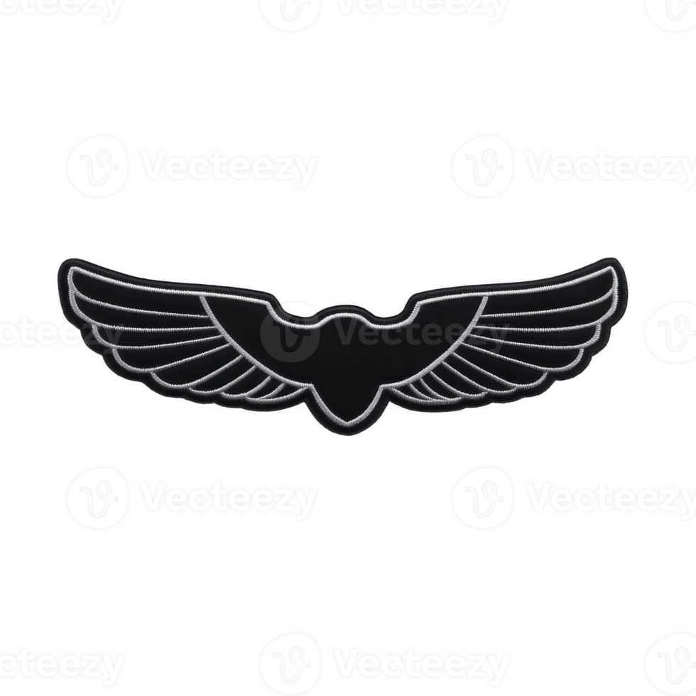 Sleek black and silver winged emblem design, featuring stylized wings extending symmetrically from central body, conveying sense of speed and elegance png
