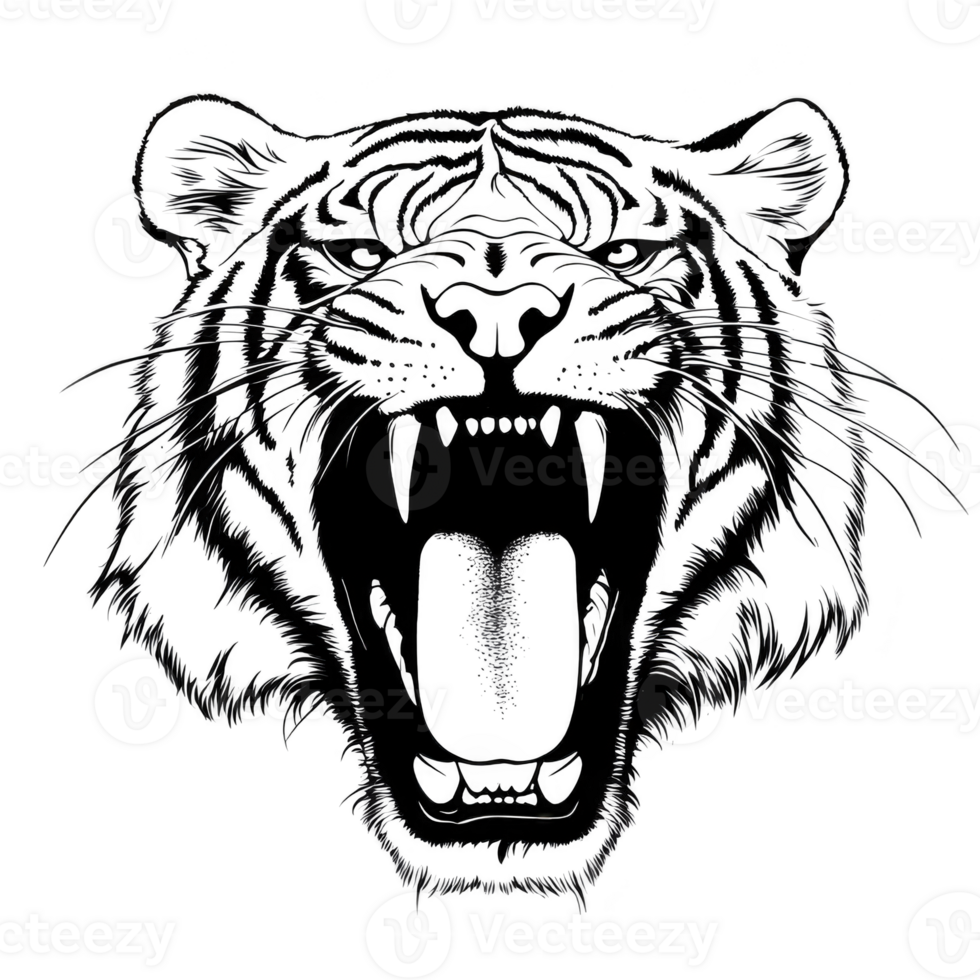 Fierce tiger illustration with open mouth, showcasing its sharp teeth and detailed fur pattern. black and white design emphasizes tiger powerful expression and intricate line work png