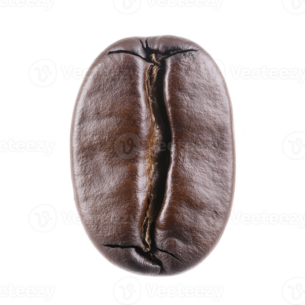 Close up of single roasted coffee bean showcases its rich brown color and textured surface, highlighting intricate details and natural beauty of bean png