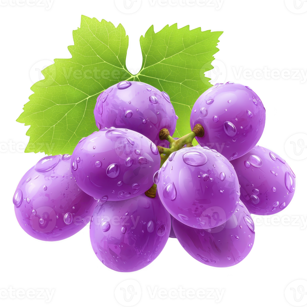 Bunch of fresh purple grapes with water droplets and green leaf, showcasing realistic and vibrant appearance. grapes are clustered together, highlighting their juicy texture png