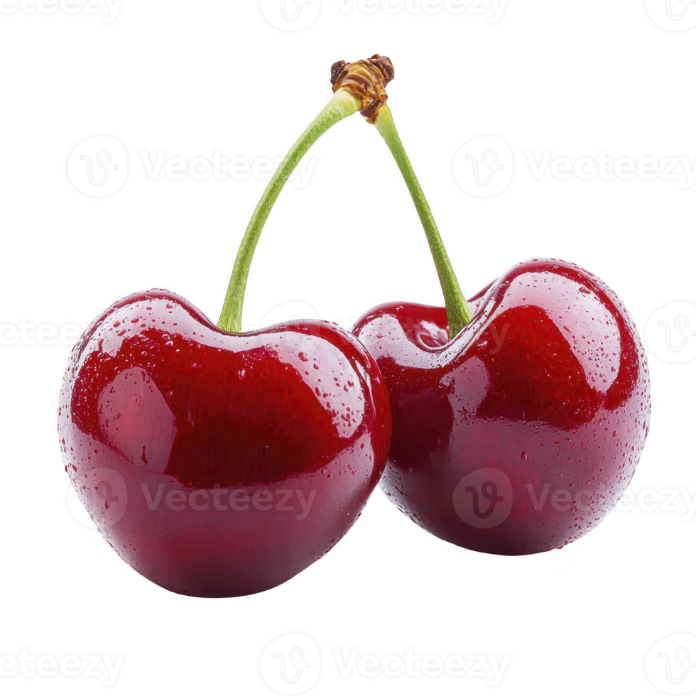 Two fresh cherries with water droplets on their glossy red skin are connected by green stems, showcasing their vibrant color and juicy texture png