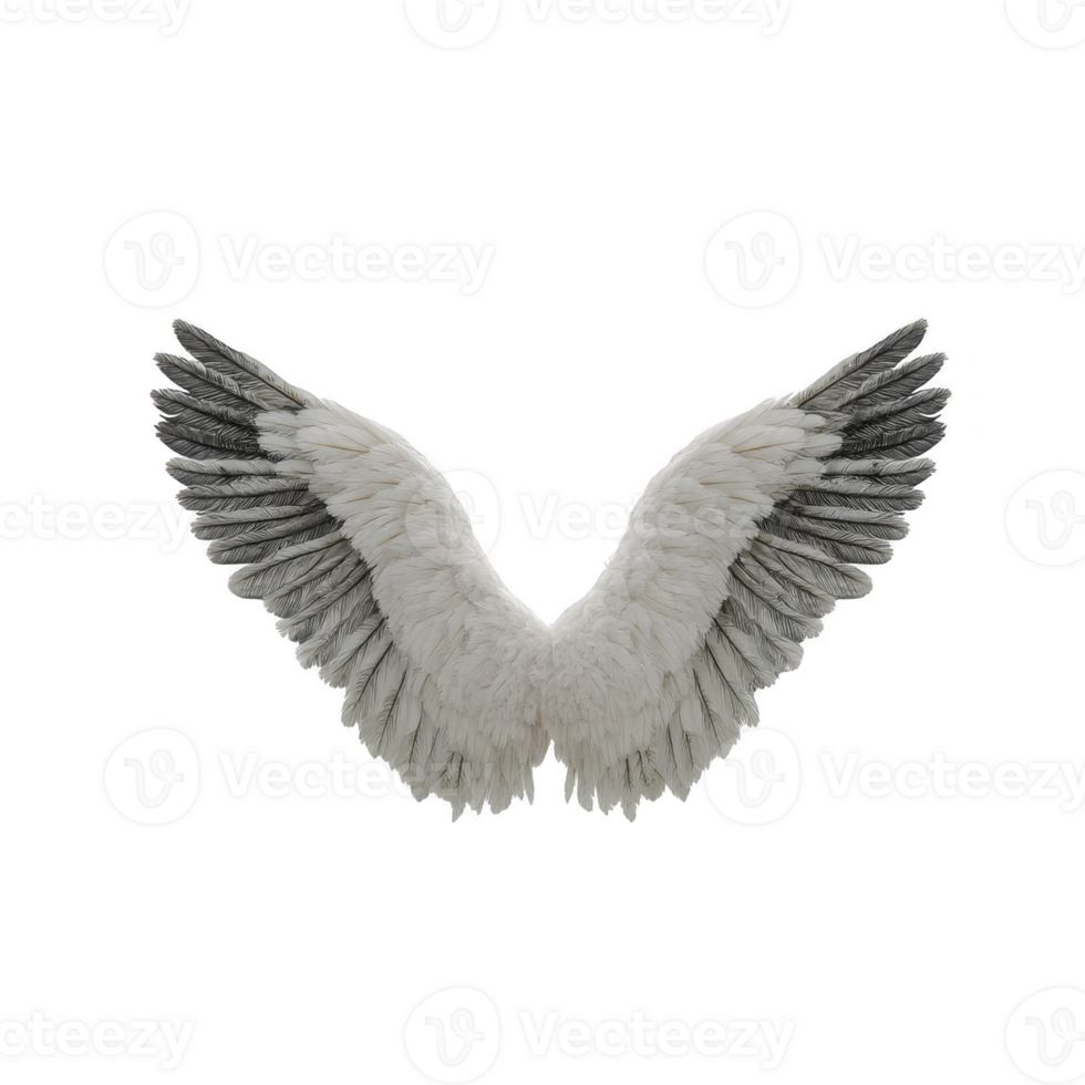 Pair of large, detailed white and gray angel wings are spread open against transparent background, showcasing intricate feather patterns. wings evoke sense of grace and ethereal beauty png