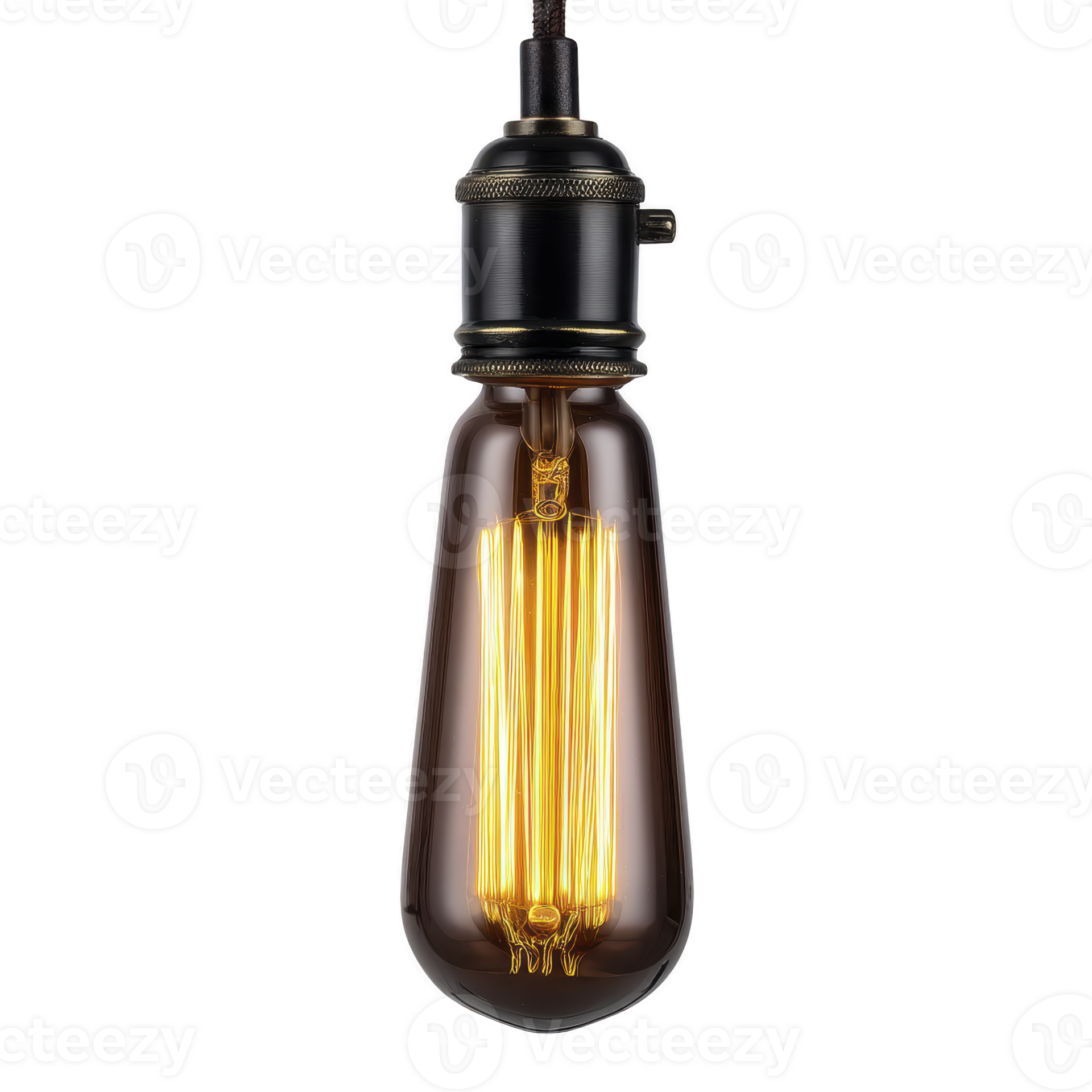 Vintage style Edison bulb with glowing filament hangs from black socket Vintage style Edison bulb with glowing filament hangs from black socket