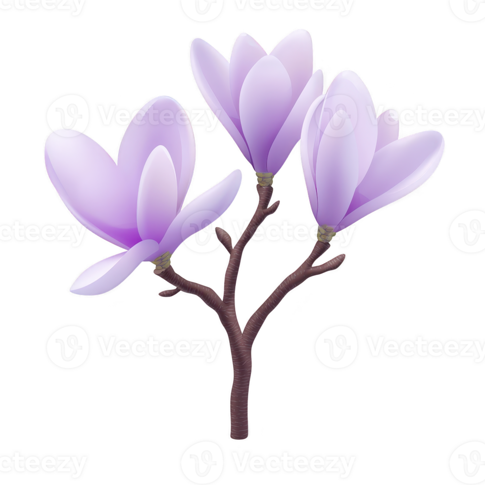Branch with three delicate purple magnolia flowers in full bloom, showcasing their soft petals and natural elegance. flowers are set against transparent background, highlighting their beauty png