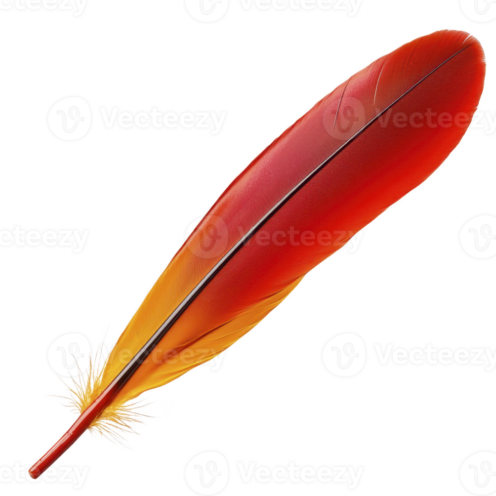 Vibrant red and orange feather with smooth texture and delicate barbs, isolated on transparency background, evokes sense of elegance and nature beauty png