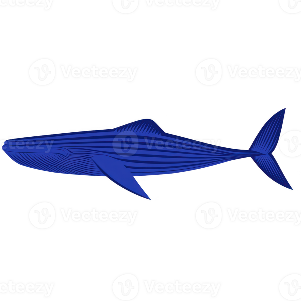 Stylized blue whale illustration with bold lines and minimalist design, showcasing majestic marine creature in side profile. image highlights whale streamlined body and distinct features png
