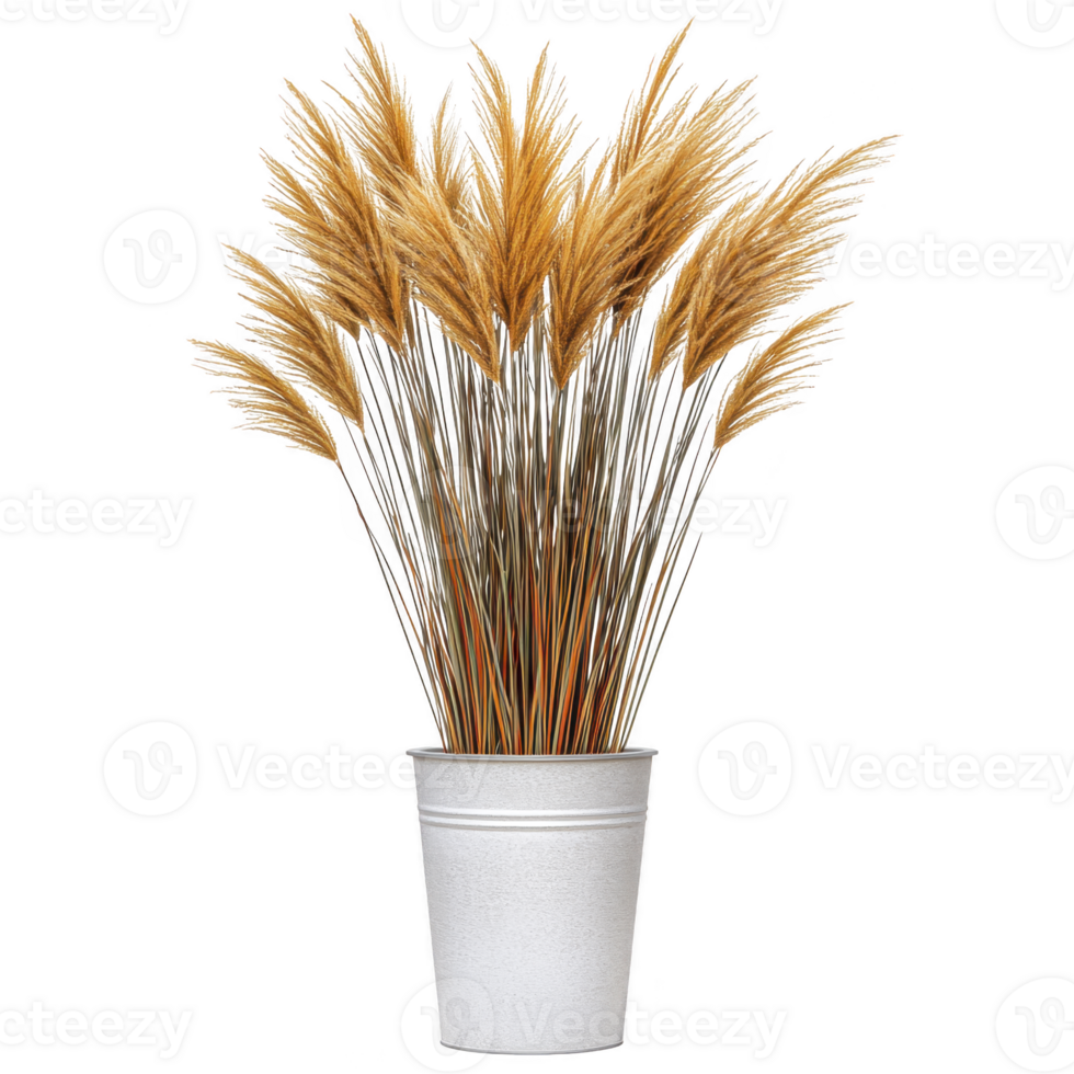 Decorative arrangement of dried pampas grass in white metal pot adds rustic and natural touch to any interior space. fluffy plumes create warm and inviting atmosphere png