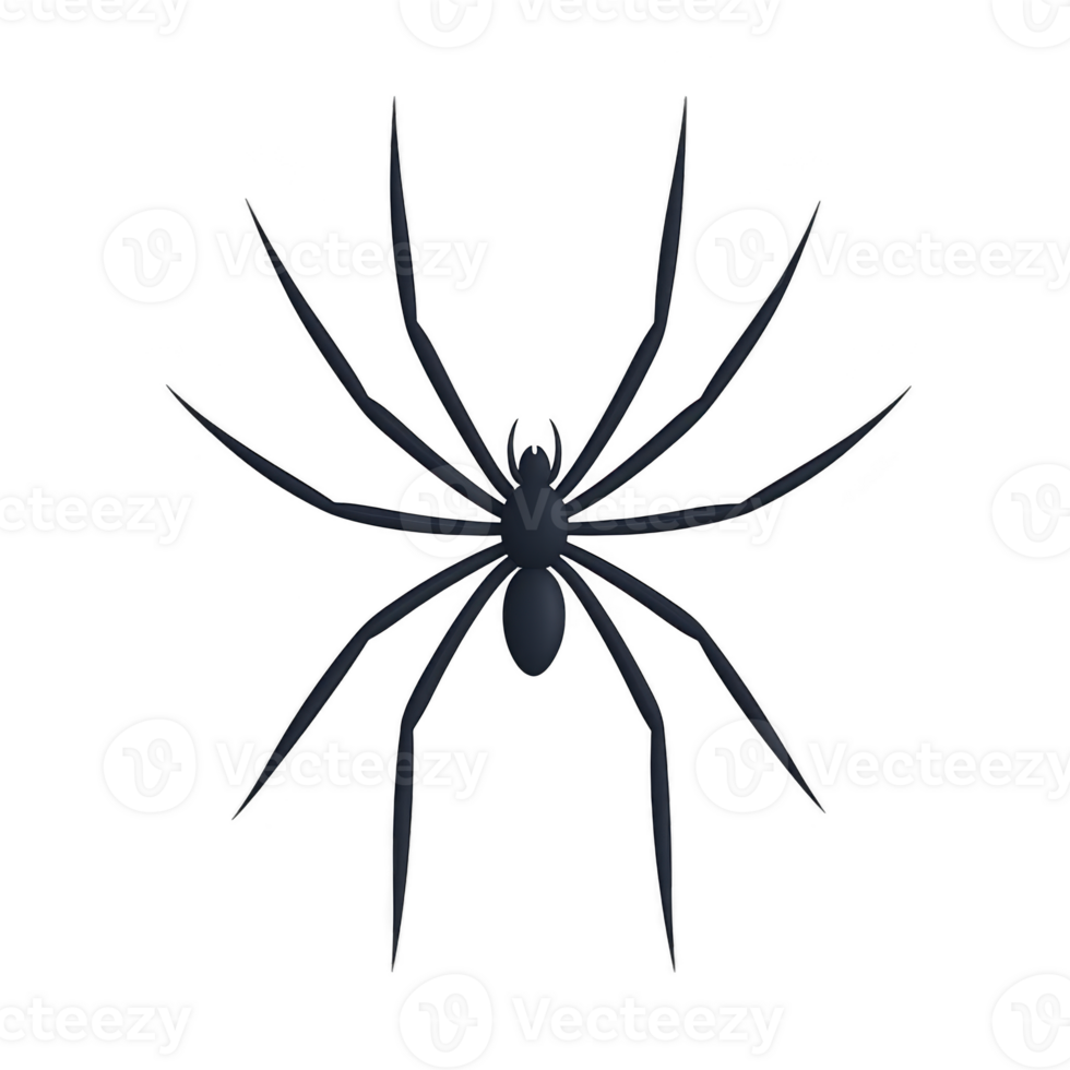 Detailed illustration of black spider with long legs, set against transparency background. spider body is sleek and dark, showcasing its intricate design png