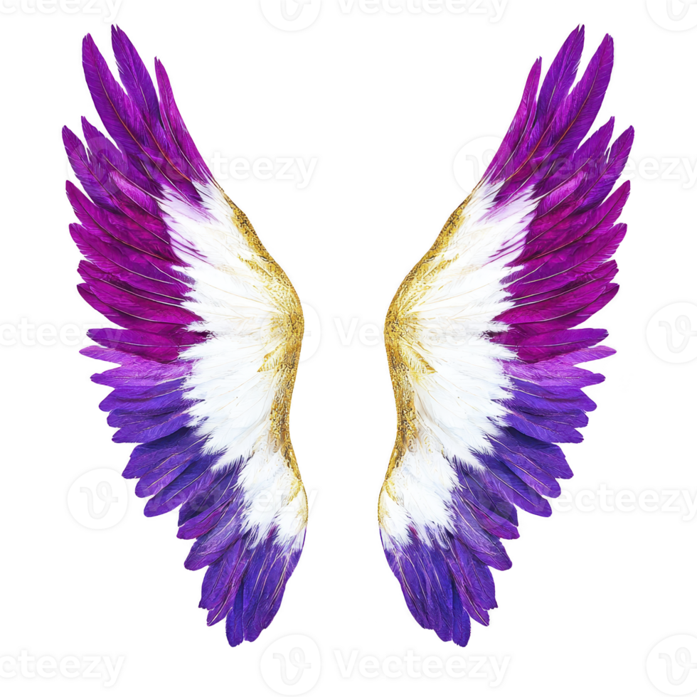 Vibrant purple and white angel wings with golden accents create striking and ethereal appearance. feathers are intricately detailed, showcasing blend of colors png