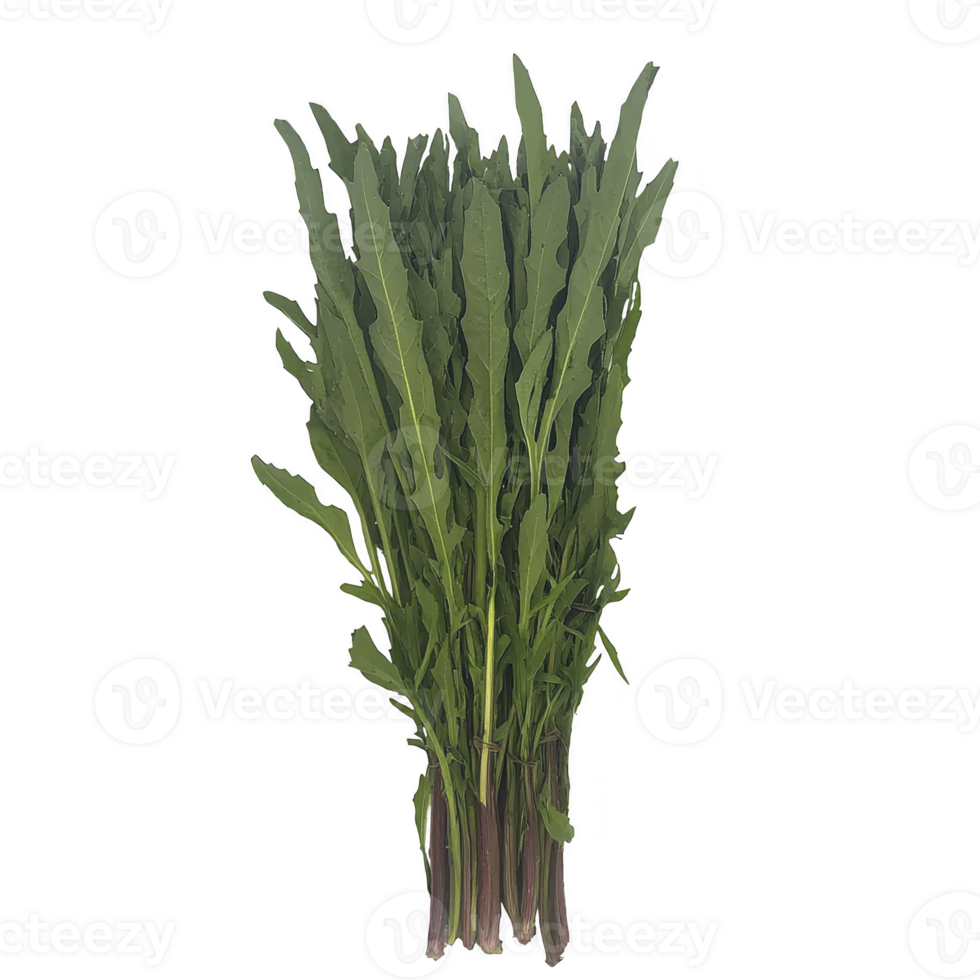 Bunch of fresh green leafy vegetables, likely type of Asian green, is displayed against plain background. leaves are long and slender, with vibrant green color, suggesting freshness png