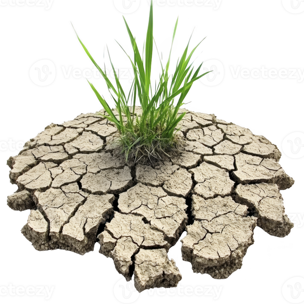 Small patch of green grass grows resiliently through cracked, dry earth, symbolizing hope and perseverance in barren landscape png