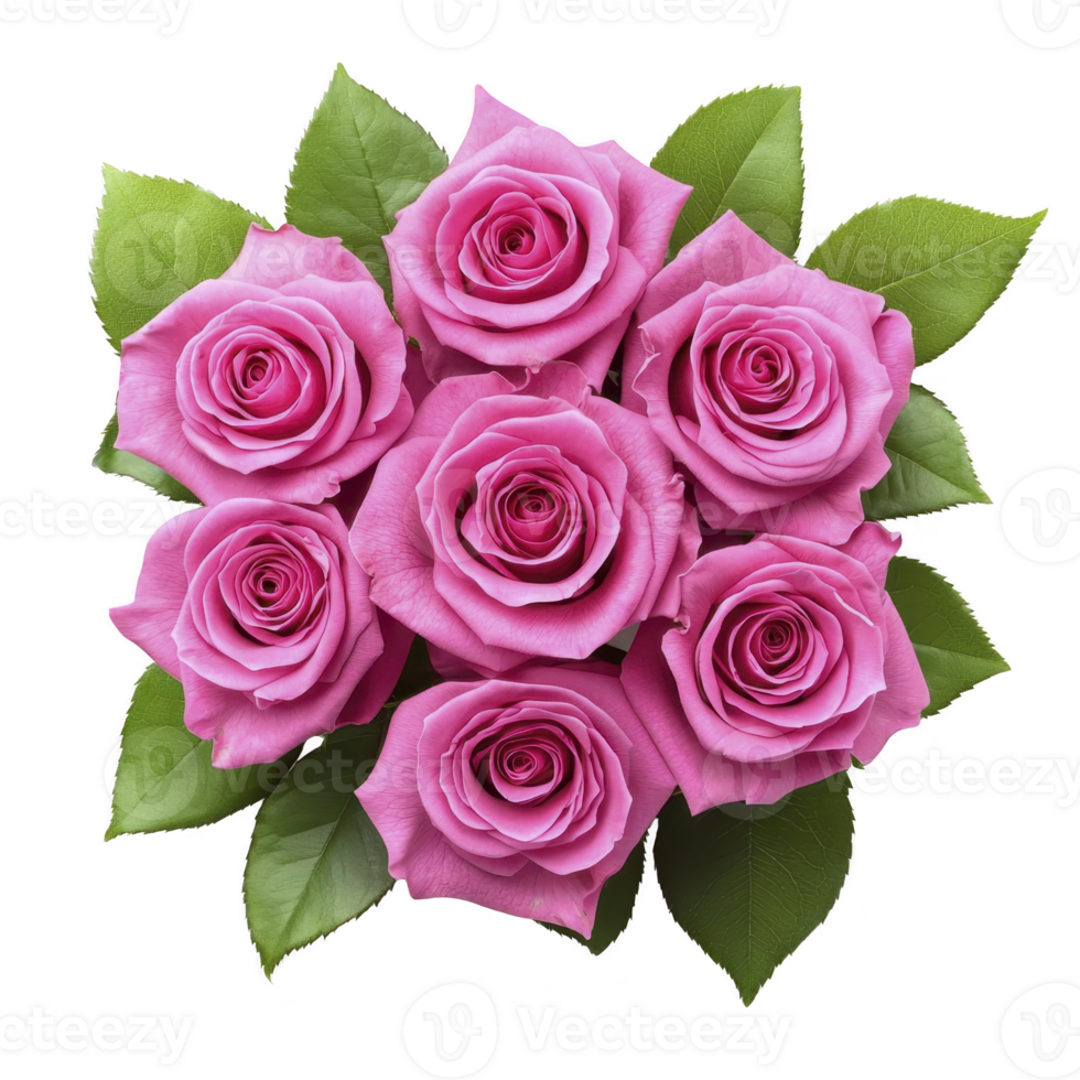 Bouquet of vibrant pink roses with lush green leaves, beautifully arranged circular pattern, creating stunning floral display. vivid colors and natural elegance evoke sense of romance and beauty png