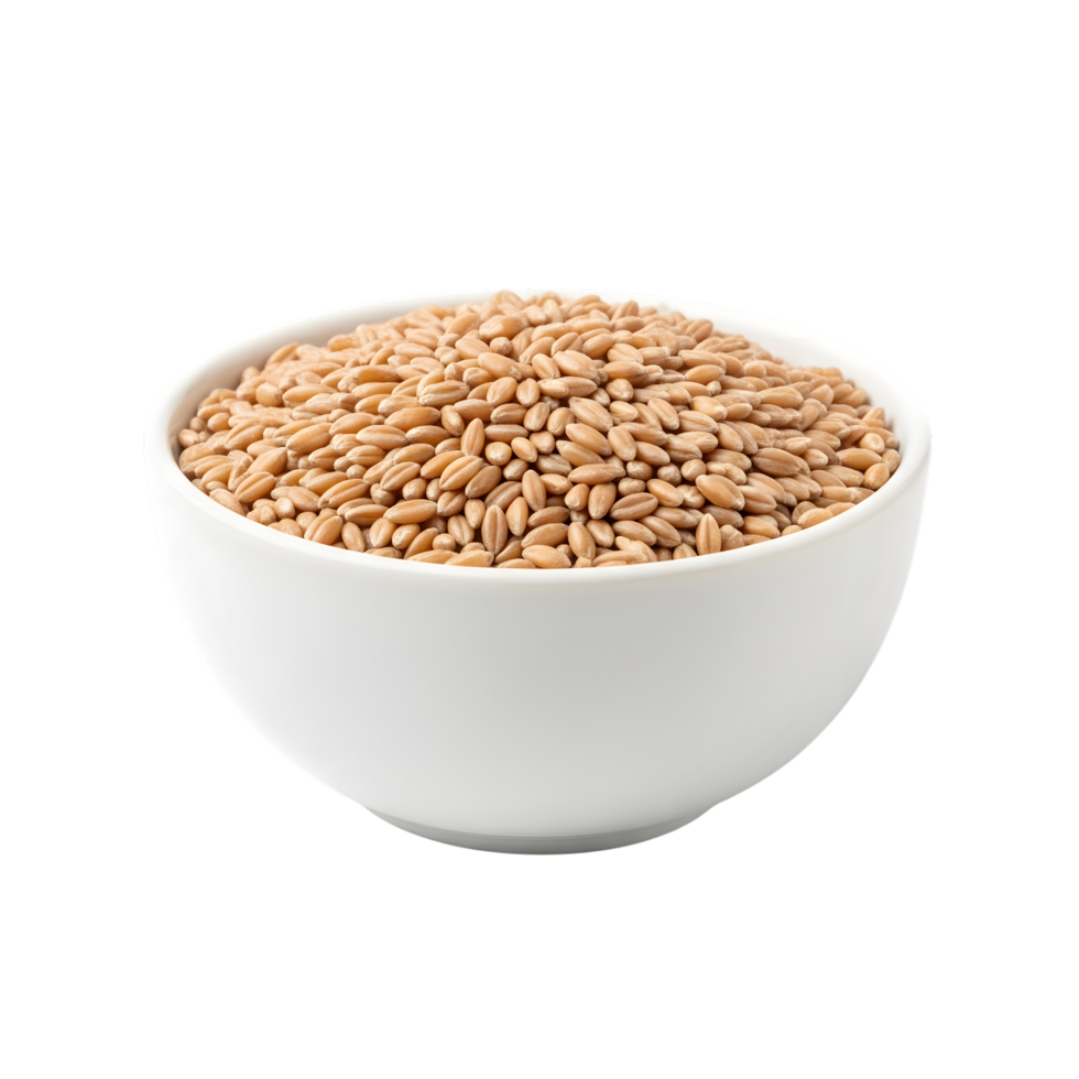 A white ceramic bowl filled with whole wheat grains showcasing their natural golden brown color and texture isolated on transparent background png