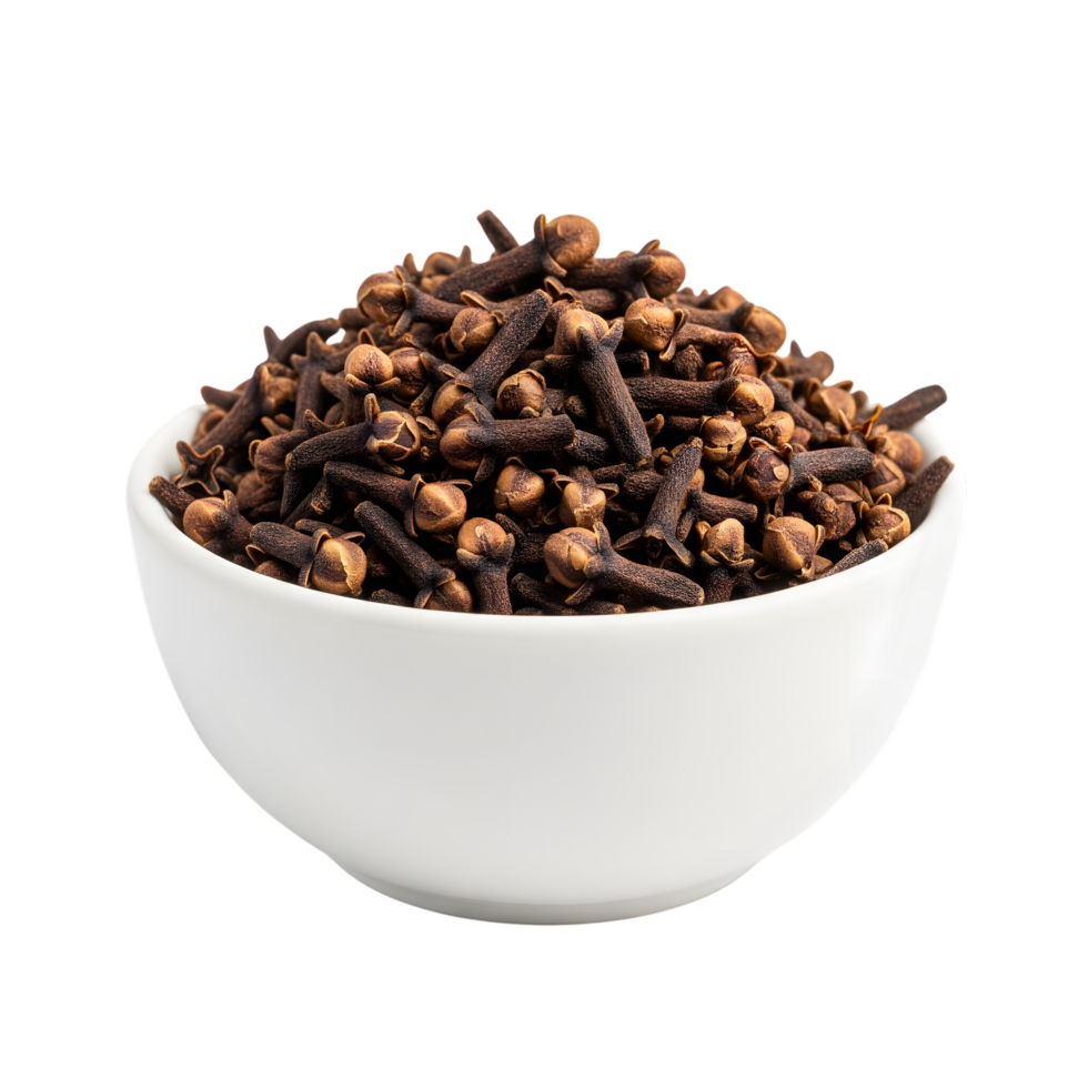 A white ceramic bowl filled with dried whole cloves a fragrant spice used in cooking and baking isolated on transparent background png
