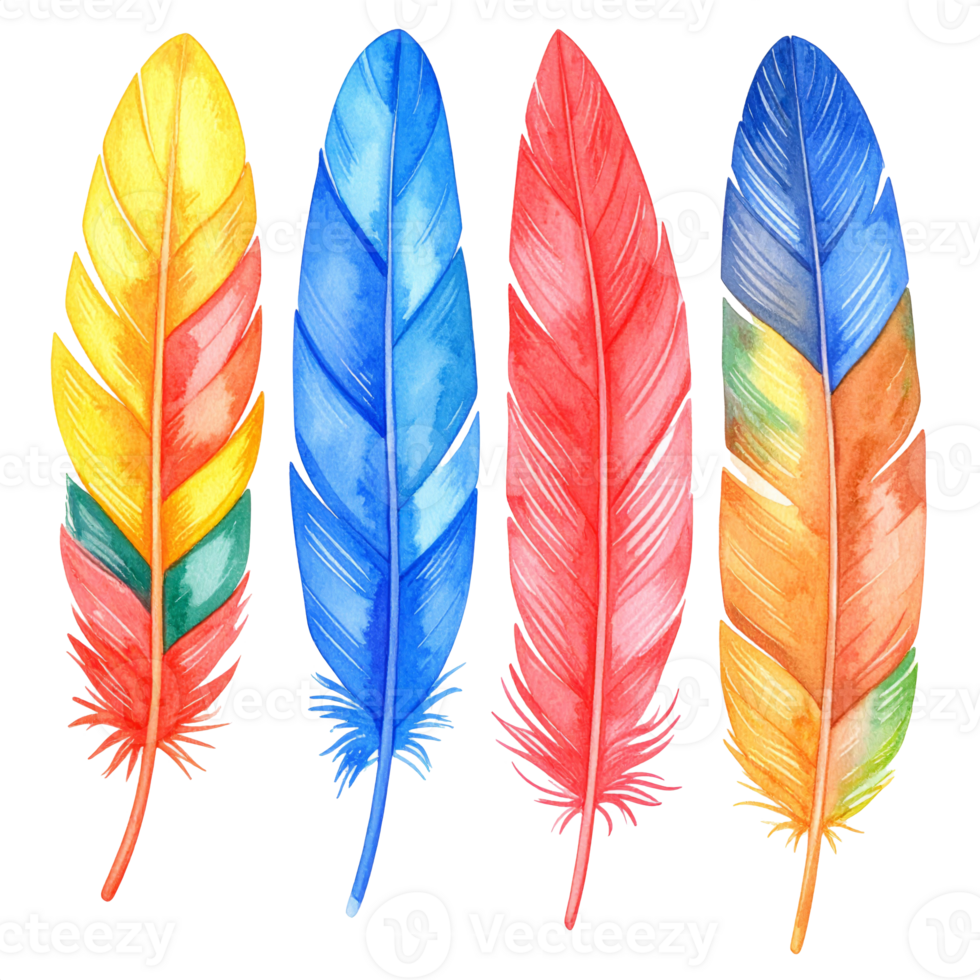 Vibrant Watercolor Feathers on Transparent Background png