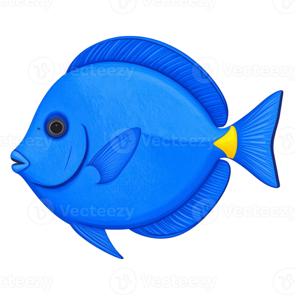 Blue Fish with Yellow Tail Illustration png