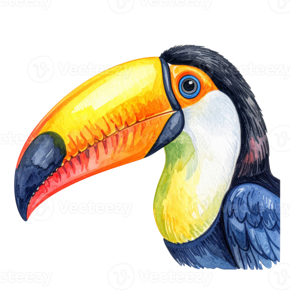 Vibrant Watercolor Toucan Painting with a Large Beak png