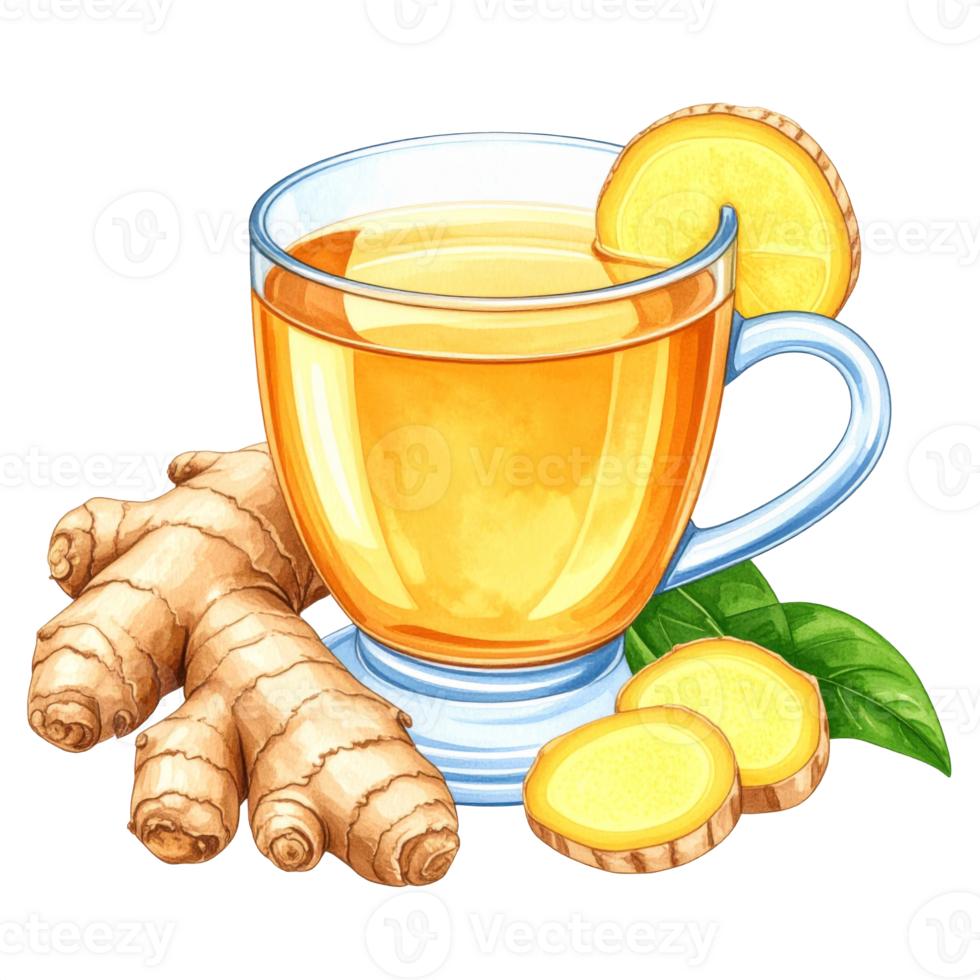 Glass Mug of Golden Ginger Tea with Root png