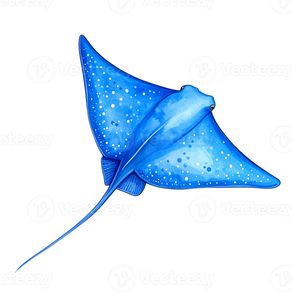 Blue Stingray Watercolor Illustration with Transparent Background png