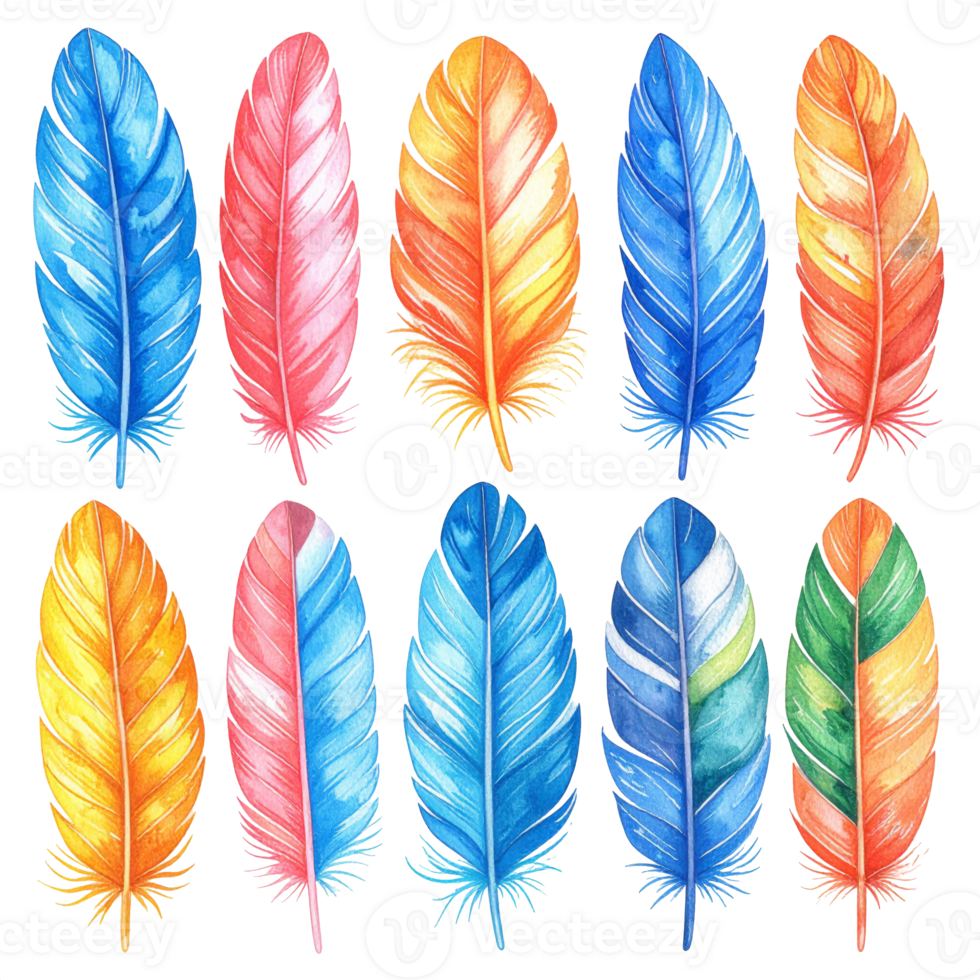 Colorful Watercolor Feathers Collection on Transparent png