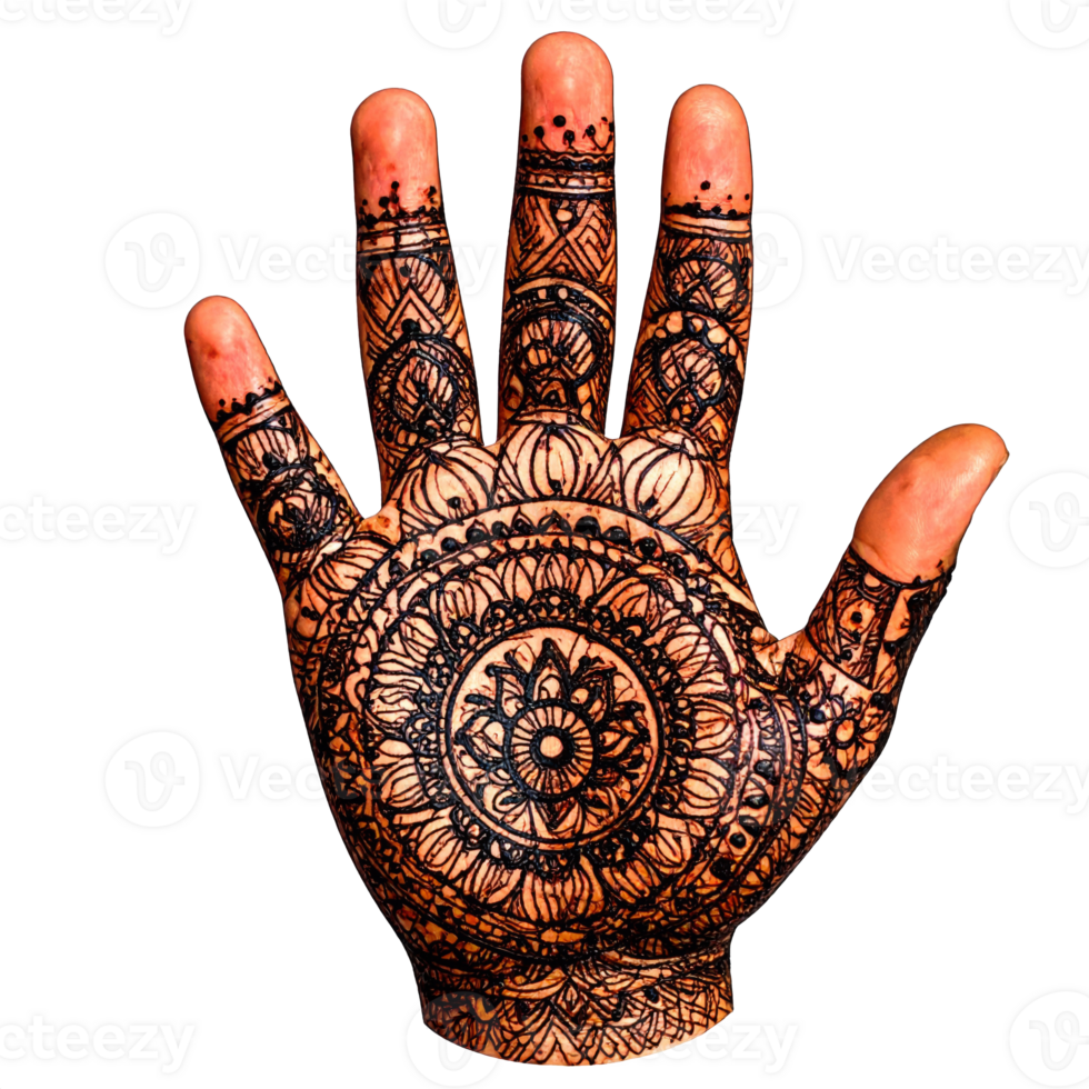 Intricate Henna Mandala Tattoo on Hand png
