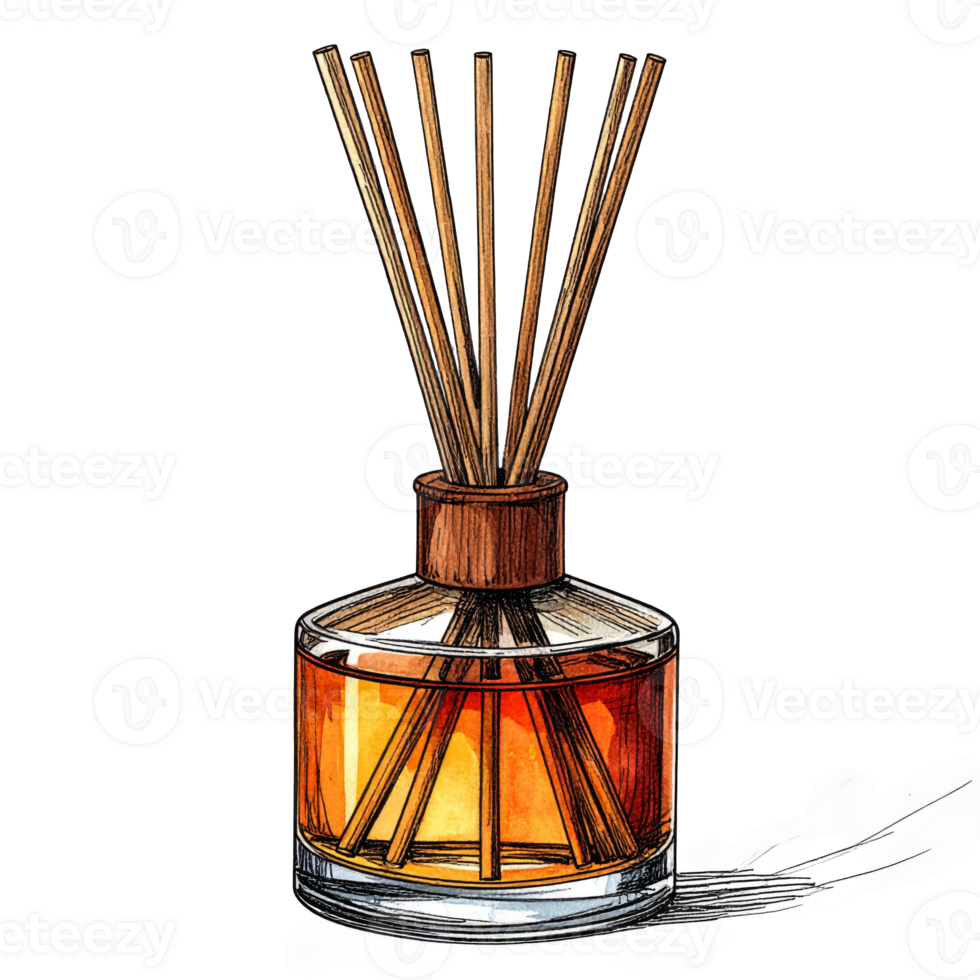 Amber Reed Diffuser Watercolor Illustration png